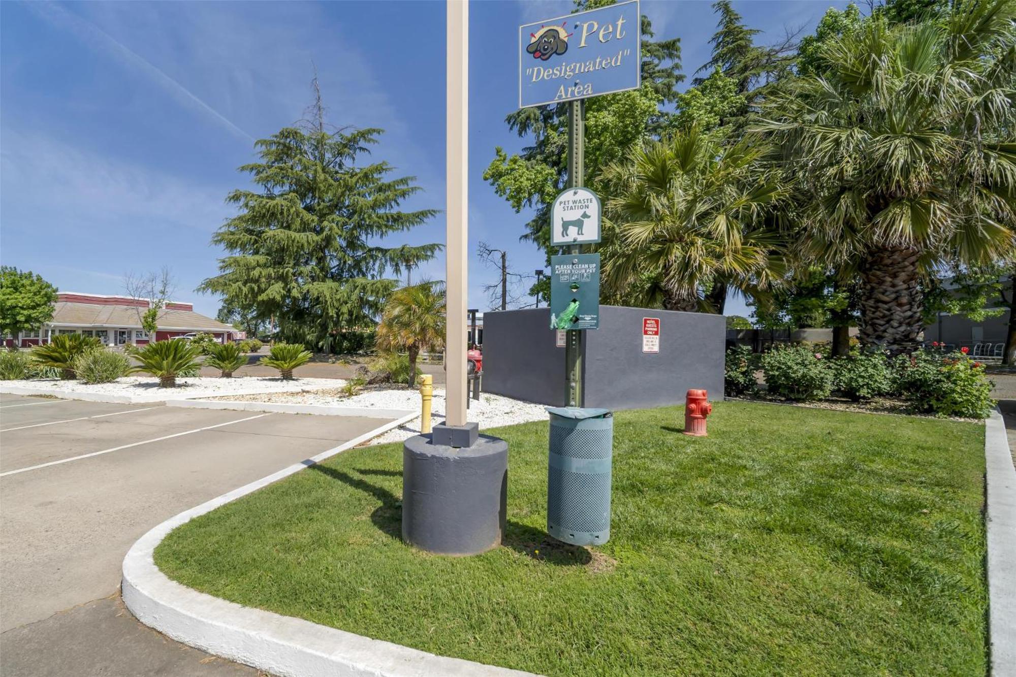 Best Western Antelope Inn & Suites Red Bluff Extérieur photo